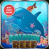   Dolphin Reef